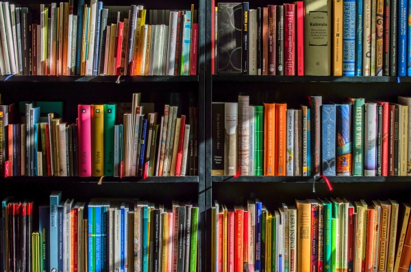 A bookshelf full of books / Pexels