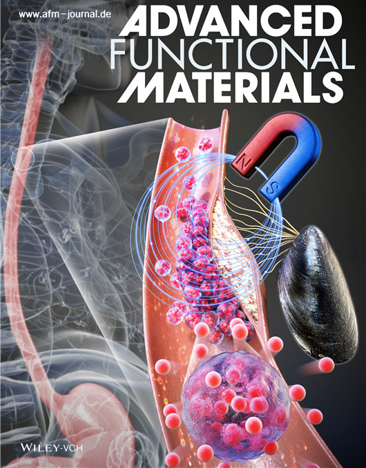 ▲A front cover of Advanced Functional Materials