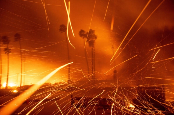 ▲The wind whips embers as the Palisades Fire burns during a windstorm / REUTERS/ Ringo Chiu