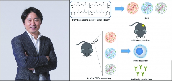 ▲Prof. Won Jong Kim and the effects of PNPs shown in in vivo screening (from left)