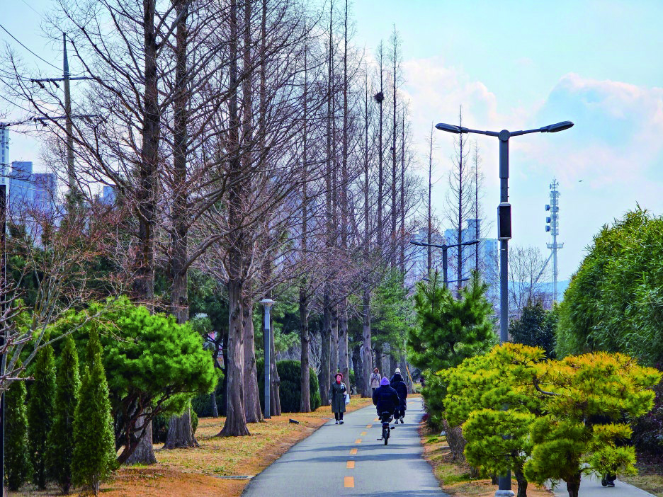 ▲The Pohang Railroad Forest / Korea Forest Service