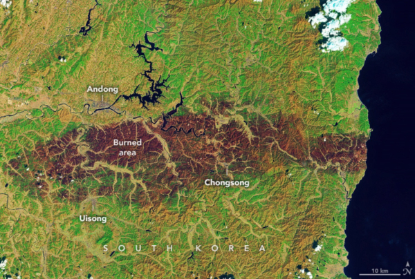 ▲A satellite image shows the burned area affected by recent wildfires in South Korea / Nasa Earth Observatory