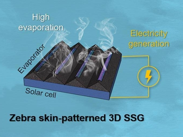 ▲Schematic diagram of zebra-striped 3D solar evaporator