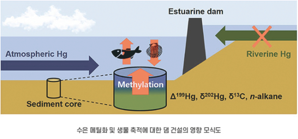 How Dams Changed the Sea
